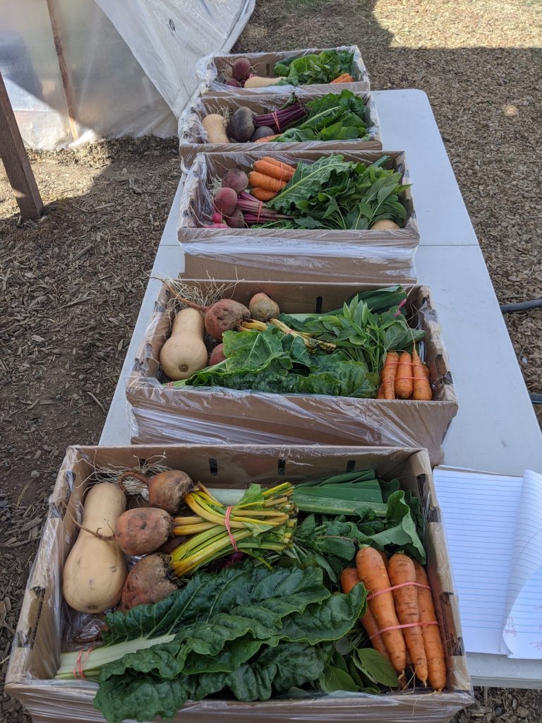 Organic CSA Boxes Sacramento