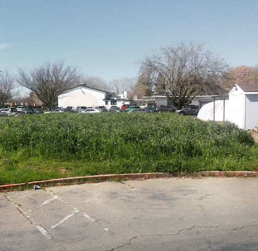 Cover Cropping Beds WeGrow Farms